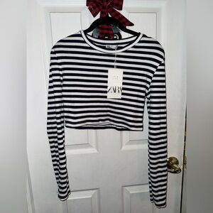 Zara Navy and White Striped Crop Top